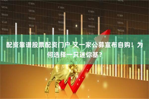 配资靠谱股票配资门户 又一家公募宣布自购！为何选择一只迷你基？
