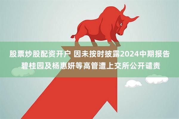 股票炒股配资开户 因未按时披露2024中期报告 碧桂园及杨惠妍等高管遭上交所公开谴责