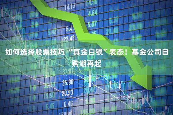 如何选择股票技巧 “真金白银”表态！基金公司自购潮再起