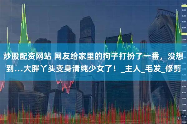 炒股配资网站 网友给家里的狗子打扮了一番，没想到…大胖丫头变身清纯少女了！_主人_毛发_修剪