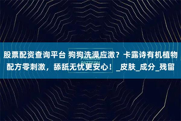 股票配资查询平台 狗狗洗澡应激？卡露诗有机植物配方零刺激，舔舐无忧更安心！_皮肤_成分_残留